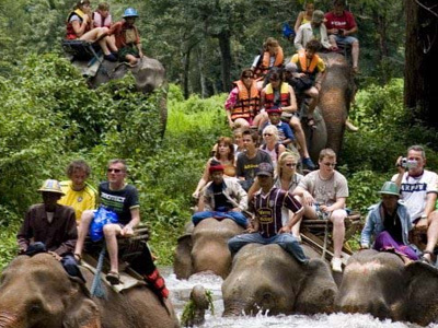 Wildlife Adventure Tour India and Nepal